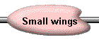 Small wings