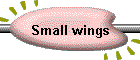 Small wings